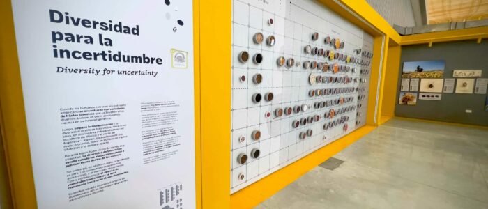 Proyecto Germo para CIAT 05