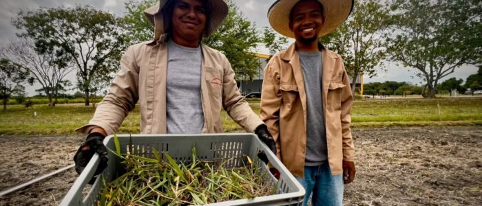 Proyecto Germo para CIAT 09