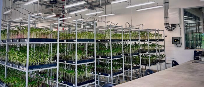 Proyecto Germo para CIAT 12