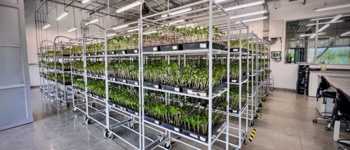 Proyecto Germo para CIAT 13